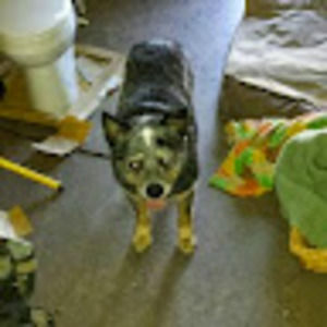 Meet your Posher, Clayton